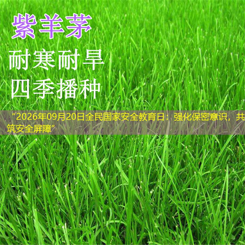 “2026年09月20日全民国家安全教育日：强化保密意识，共筑安全屏障”