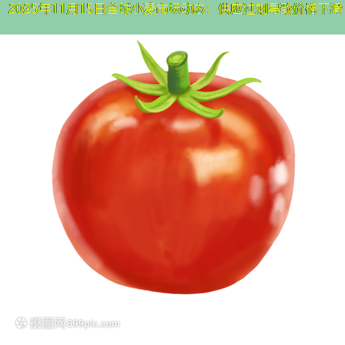 2025年11月15日全球小麦市场动态：供应过剩导致价格下滑