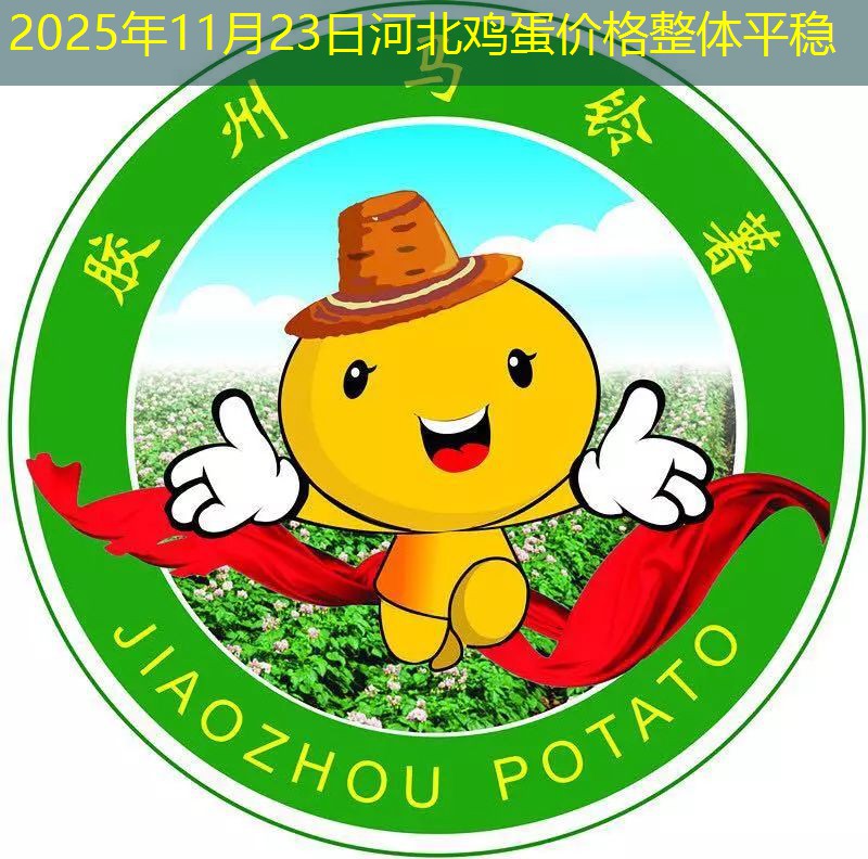 2025年11月23日河北鸡蛋价格整体平稳