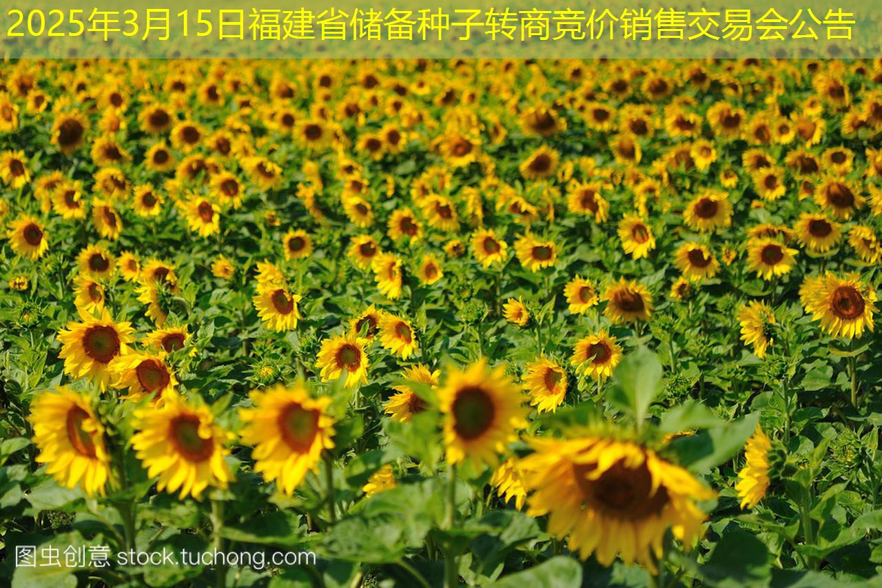 2025年3月15日福建省储备种子转商竞价销售交易会公告