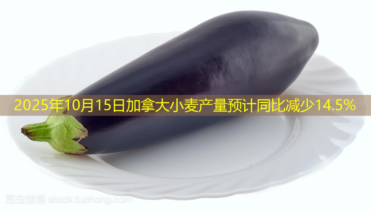 2025年10月15日加拿大小麦产量预计同比减少14.5%