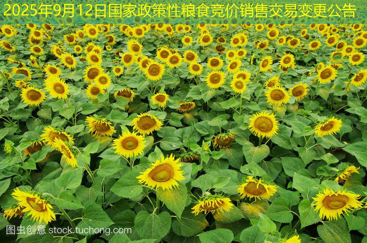 2025年9月12日国家政策性粮食竞价销售交易变更公告