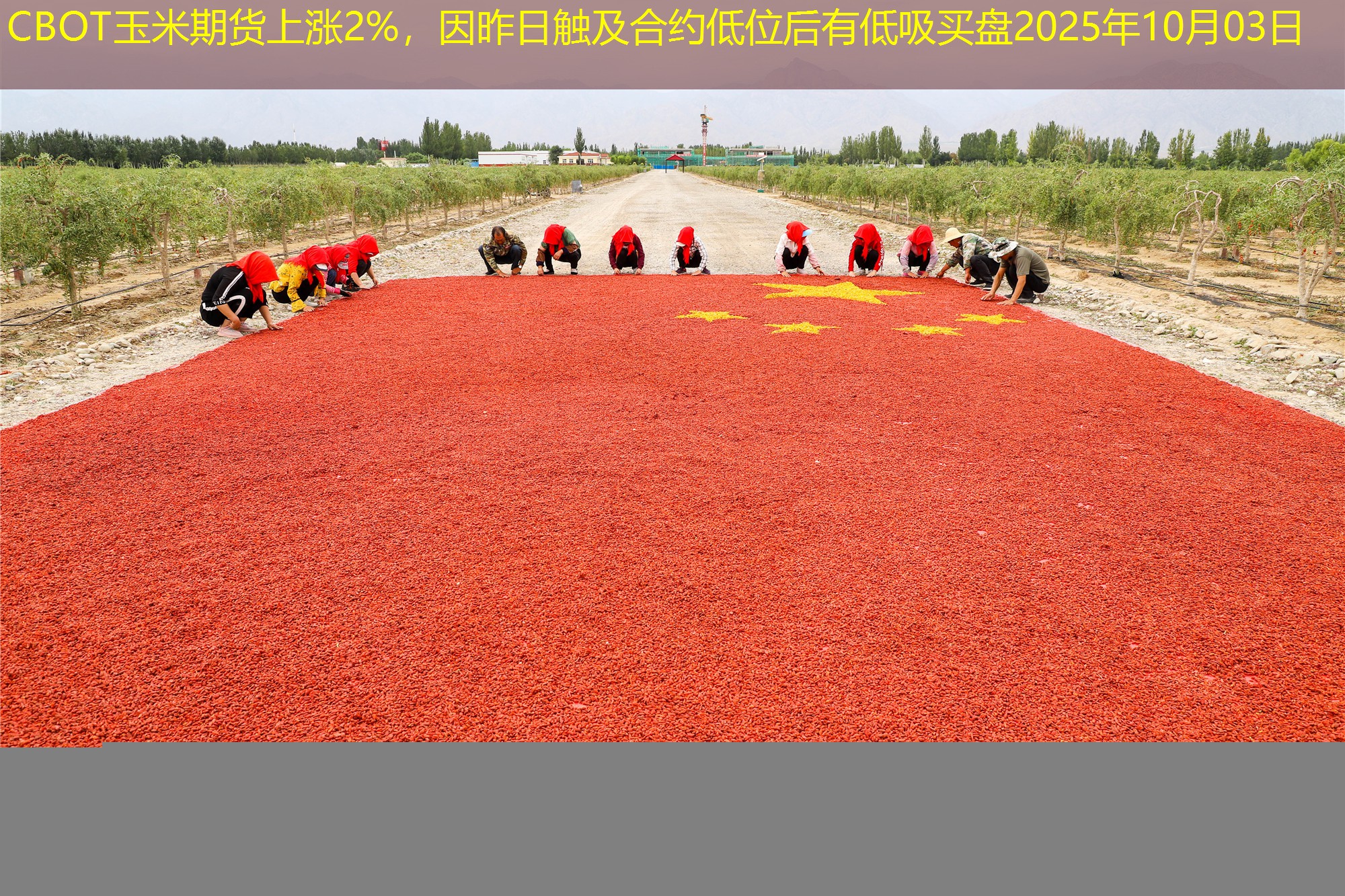 CBOT玉米期货上涨2%，因昨日触及合约低位后有低吸买盘2025年10月03日