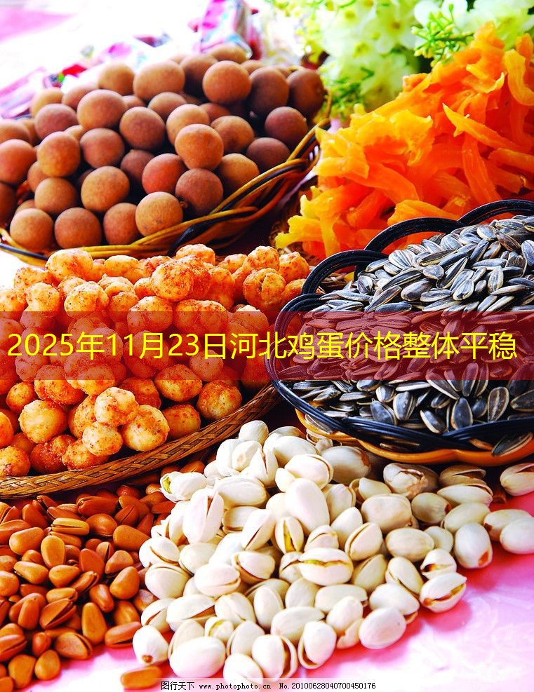 2025年11月23日河北鸡蛋价格整体平稳