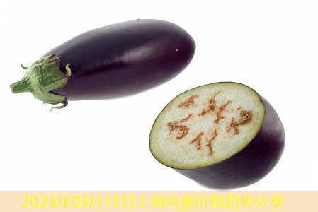 2025年03月15日上海鸡蛋价格趋势分享