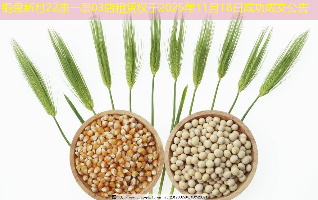 铜盘新村22座一层03店租赁权于2025年11月18日成功成交公告