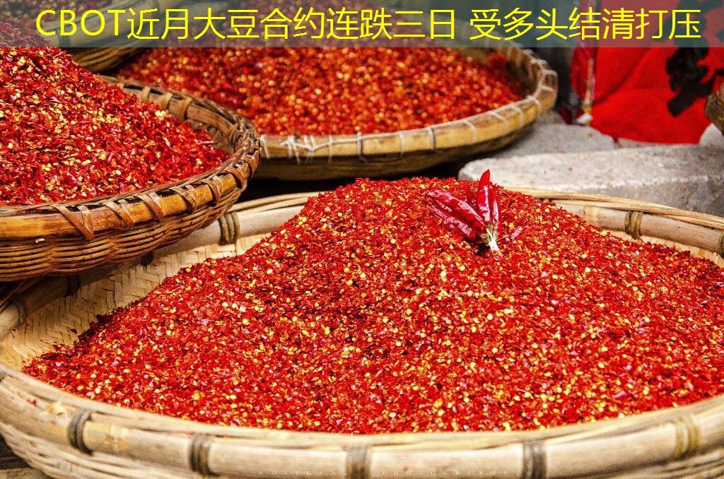 CBOT近月大豆合约连跌三日 受多头结清打压