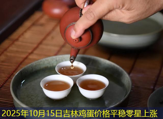 2025年10月15日吉林鸡蛋价格平稳零星上涨