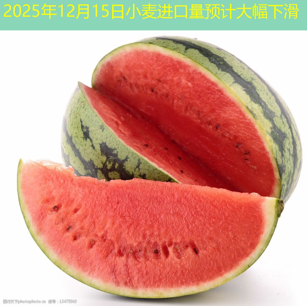 2025年12月15日小麦进口量预计大幅下滑