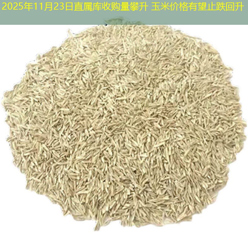 2025年11月23日直属库收购量攀升 玉米价格有望止跌回升