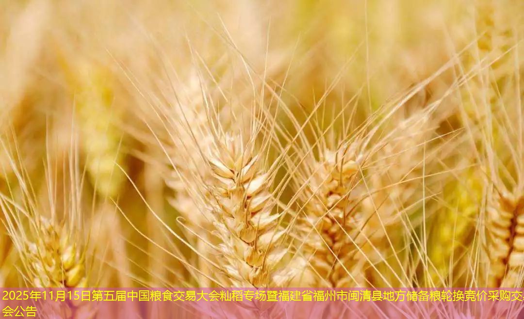 2025年11月15日第五届中国粮食交易大会籼稻专场暨福建省福州市闽清县地方储备粮轮换竞价采购交易会公告