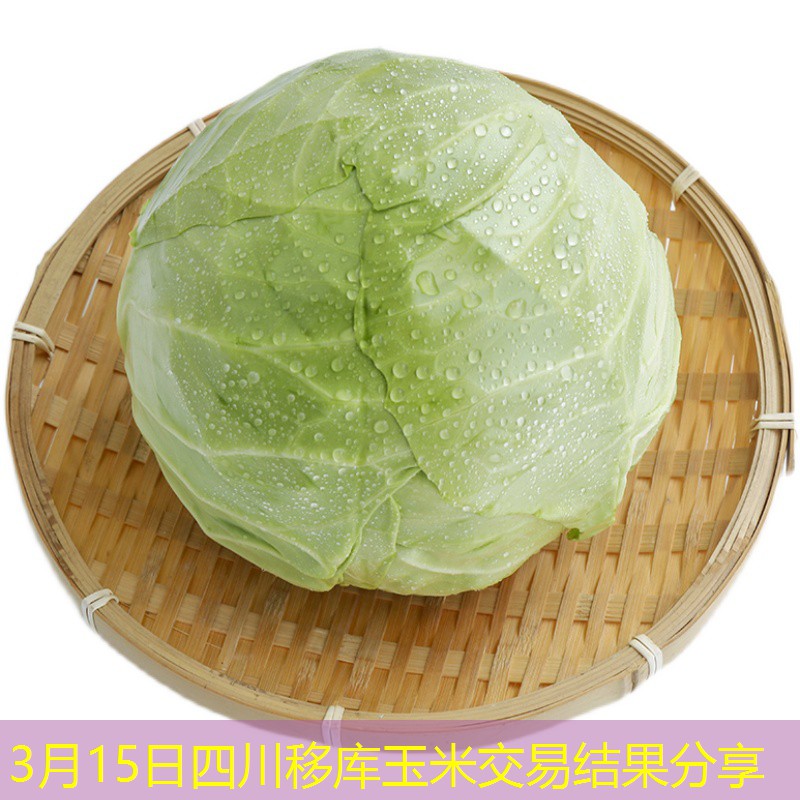 3月15日四川移库玉米交易结果分享