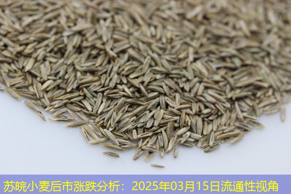 苏皖小麦后市涨跌分析：2025年03月15日流通性视角