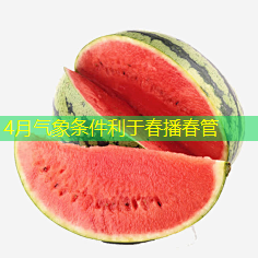 4月气象条件利于春播春管