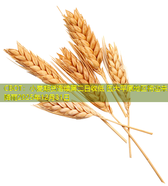 CBOT：小麦期货连续第二日收低 因大平原地区将迎来降雨2025年12月31日