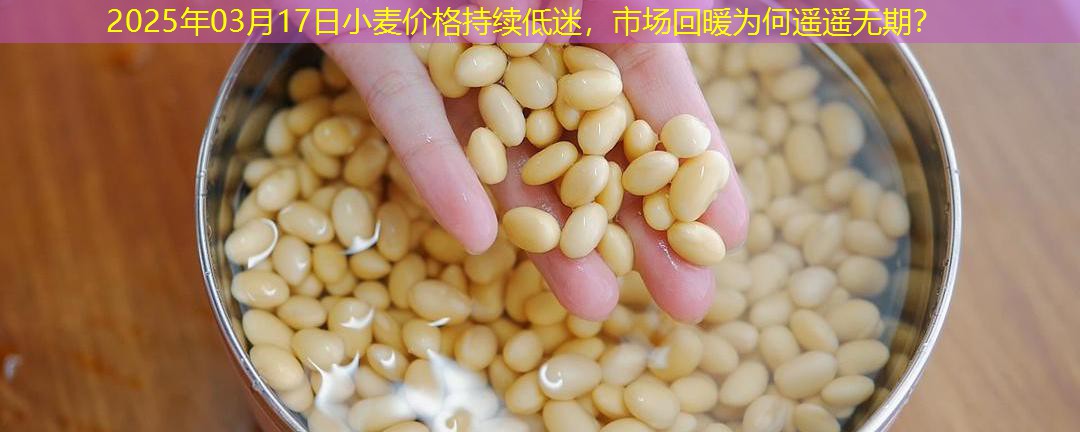 2025年03月17日小麦价格持续低迷，市场回暖为何遥遥无期？