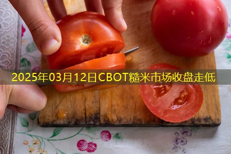 2025年03月12日CBOT糙米市场收盘走低