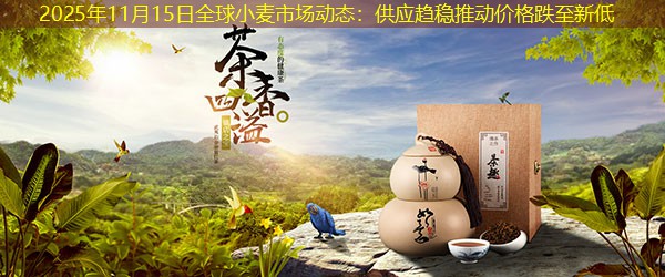 2025年11月15日全球小麦市场动态：供应趋稳推动价格跌至新低