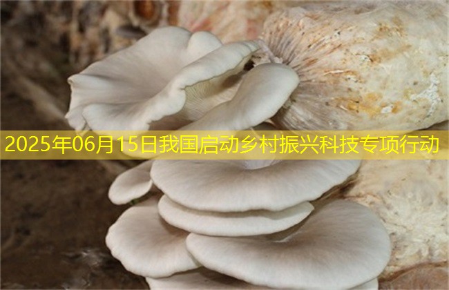 2025年06月15日我国启动乡村振兴科技专项行动