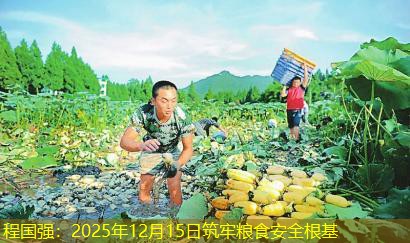 程国强：2025年12月15日筑牢粮食安全根基