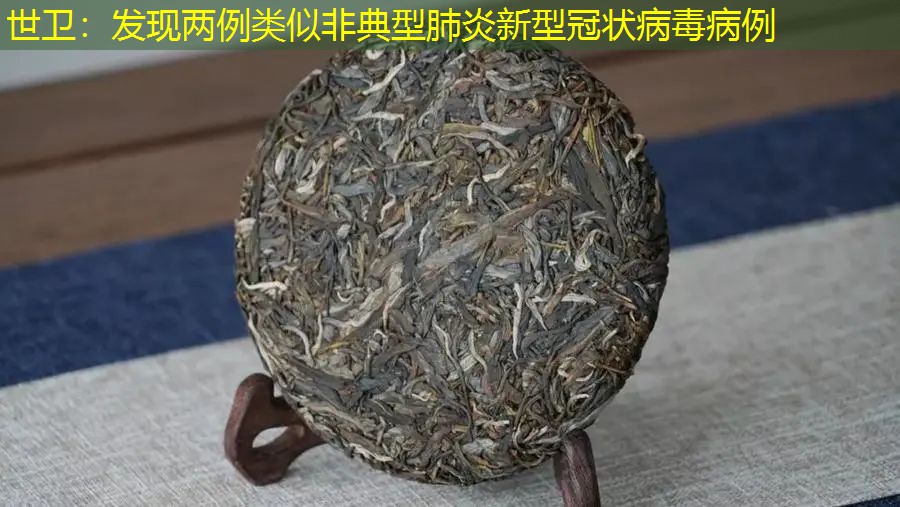 世卫：发现两例类似非典型肺炎新型冠状病毒病例