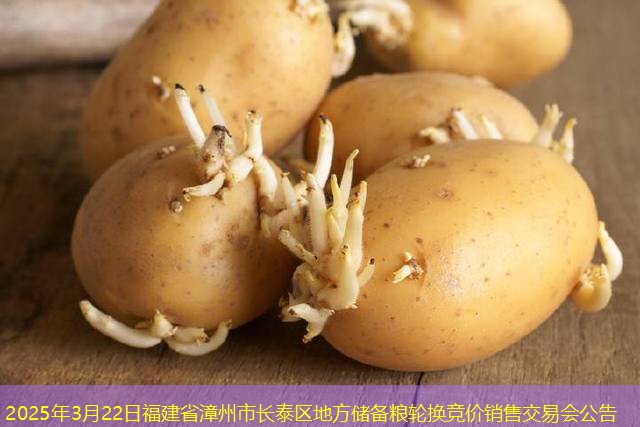 2025年3月22日福建省漳州市长泰区地方储备粮轮换竞价销售交易会公告