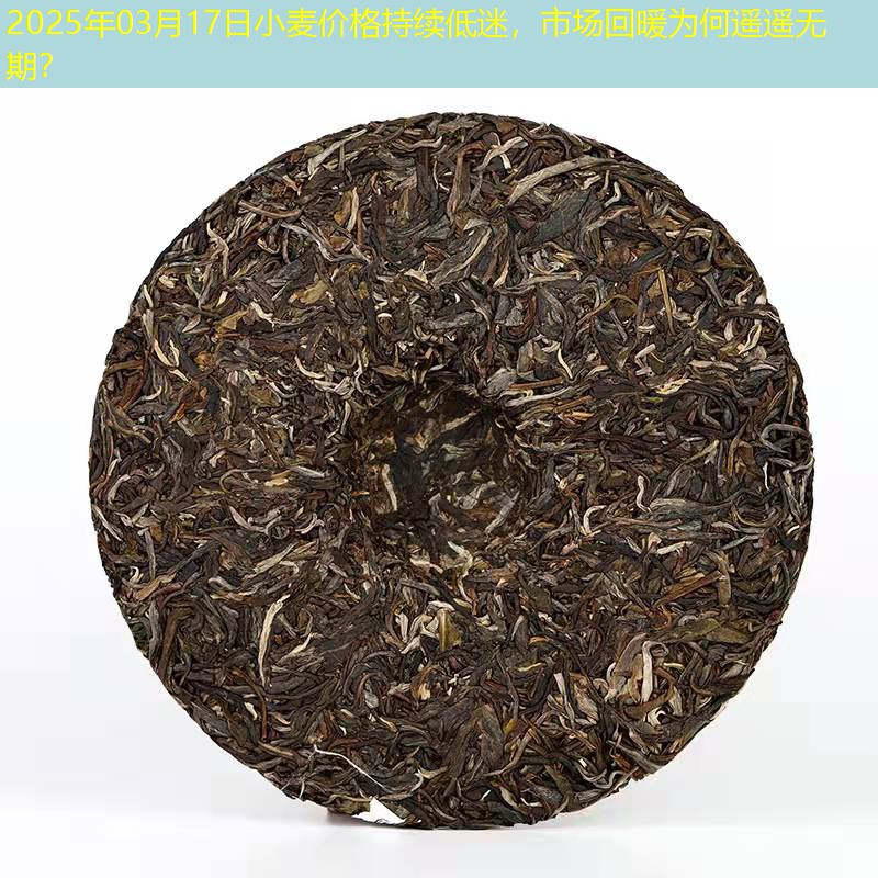 2025年03月17日小麦价格持续低迷，市场回暖为何遥遥无期？