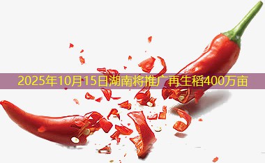 2025年10月15日湖南将推广再生稻400万亩