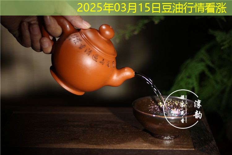 2025年03月15日豆油行情看涨