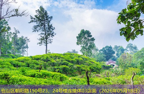 仓山区朝阳路150号23、24号楼连接体03店面（2026年05月18日）