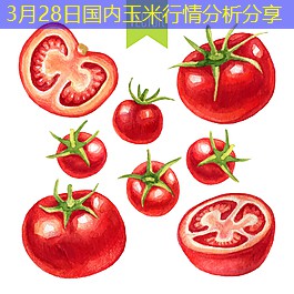 3月28日国内玉米行情分析分享