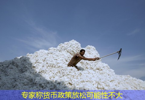 专家称货币政策放松可能性不大