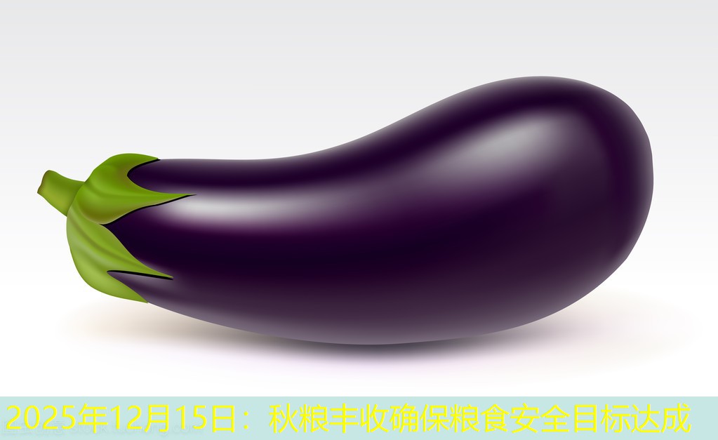 2025年12月15日：秋粮丰收确保粮食安全目标达成