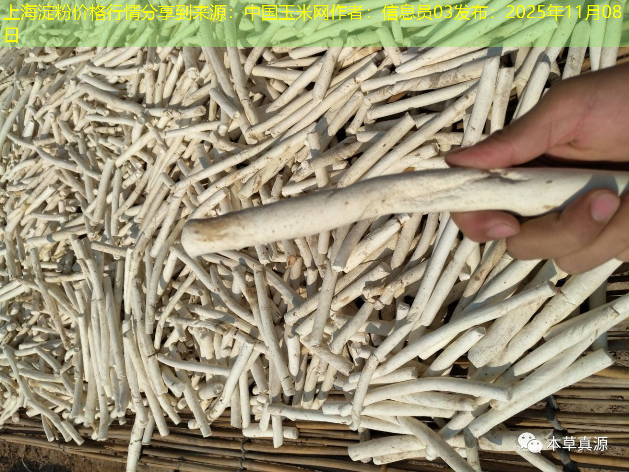 上海淀粉价格行情分享到来源：中国玉米网作者：信息员03发布：2025年11月08日