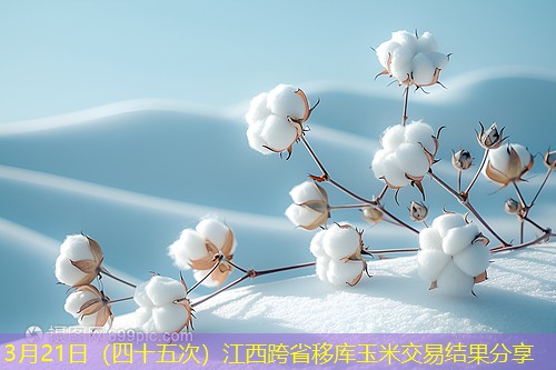 3月21日（四十五次）江西跨省移库玉米交易结果分享