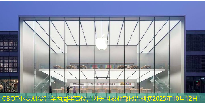 CBOT小麦期货升至两周半高位，因美国农业部报告利多2025年10月12日