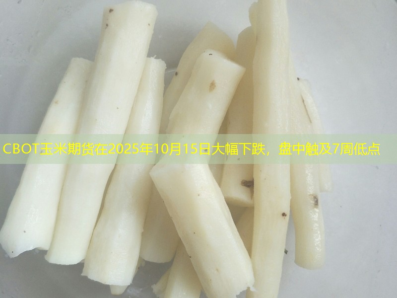 CBOT玉米期货在2025年10月15日大幅下跌，盘中触及7周低点