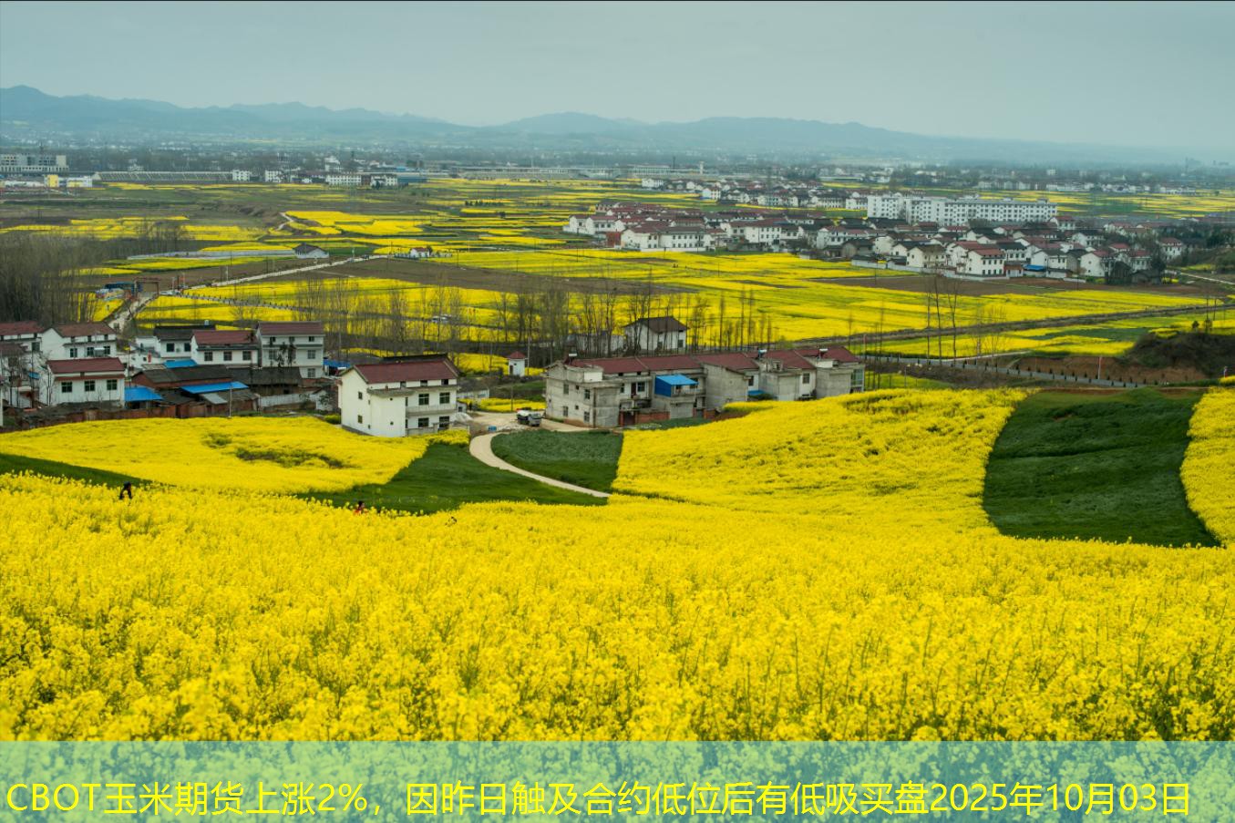 CBOT玉米期货上涨2%，因昨日触及合约低位后有低吸买盘2025年10月03日