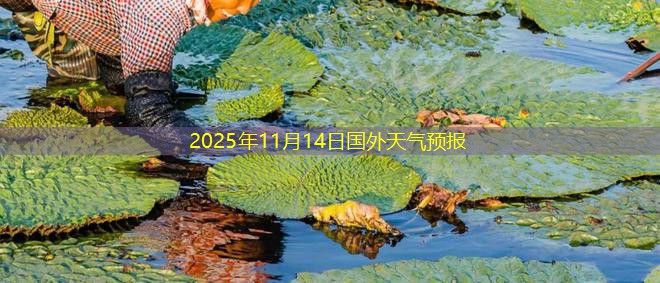 2025年11月14日国外天气预报