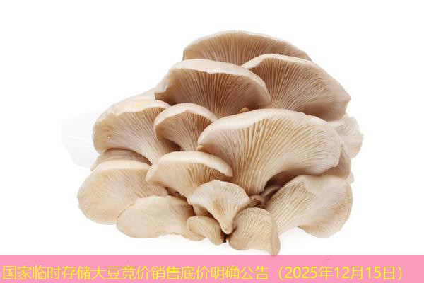 国家临时存储大豆竞价销售底价明确公告（2025年12月15日）