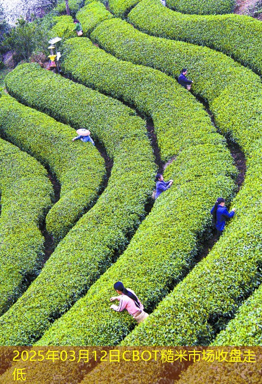 2025年03月12日CBOT糙米市场收盘走低