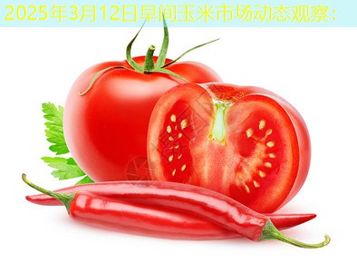 2025年3月12日早间玉米市场动态观察：