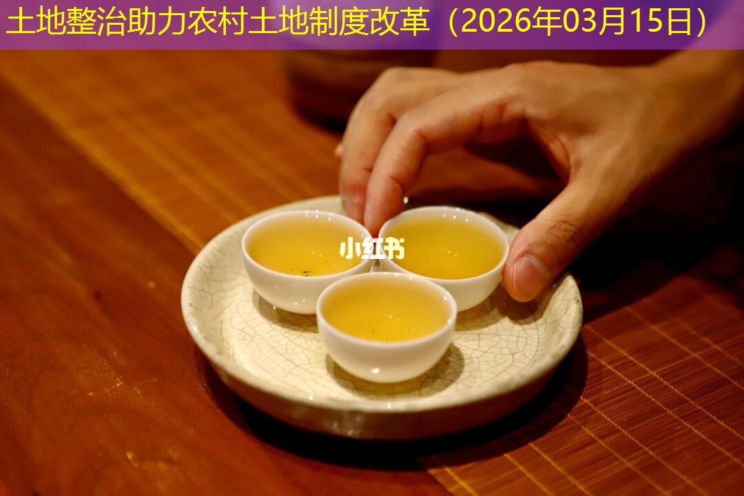 土地整治助力农村土地制度改革（2026年03月15日）