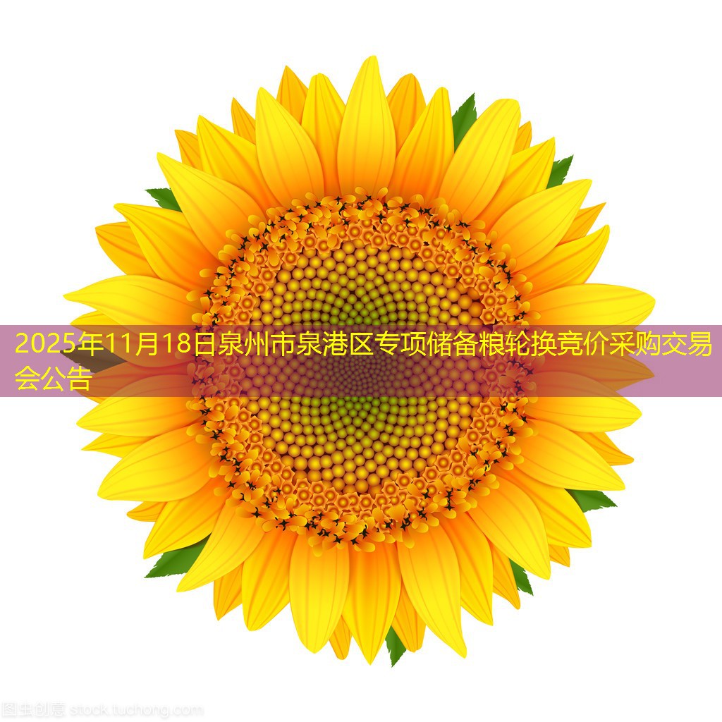 2025年11月18日泉州市泉港区专项储备粮轮换竞价采购交易会公告