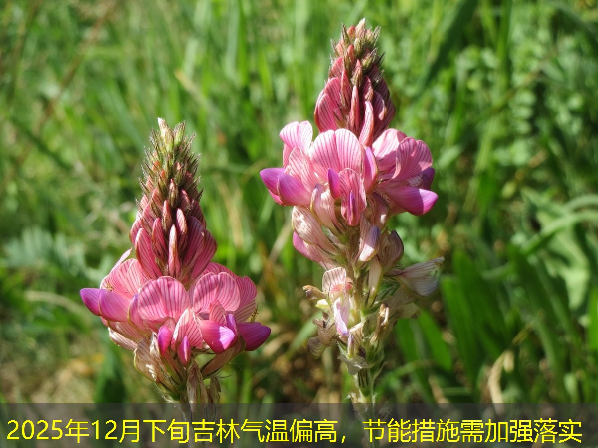 2025年12月下旬吉林气温偏高，节能措施需加强落实