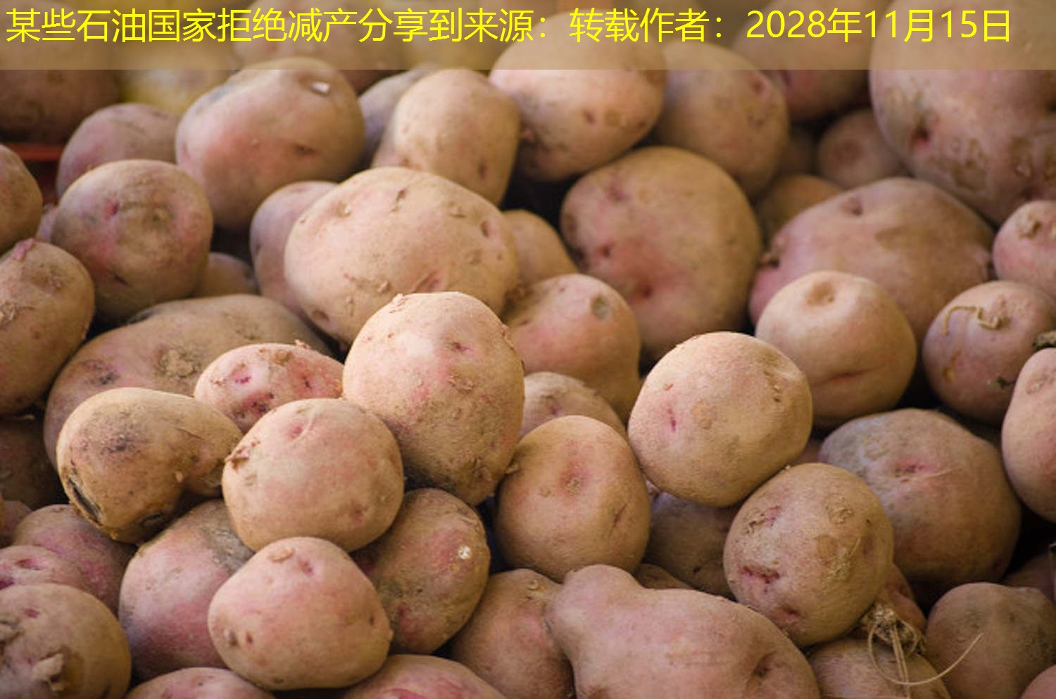 某些石油国家拒绝减产分享到来源：转载作者：2028年11月15日