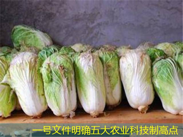 一号文件明确五大农业科技制高点