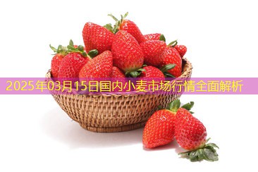 2025年03月15日国内小麦市场行情全面解析