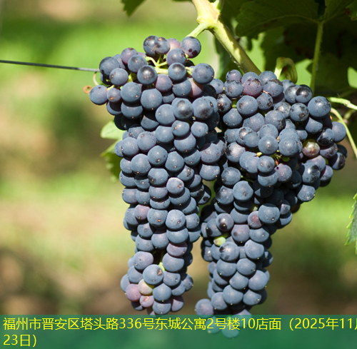 福州市晋安区塔头路336号东城公寓2号楼10店面（2025年11月23日）