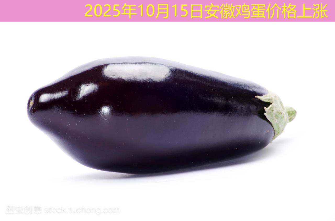 2025年10月15日安徽鸡蛋价格上涨